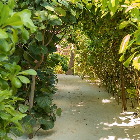 Tago Tulum By G Hotels エクステリア 写真
