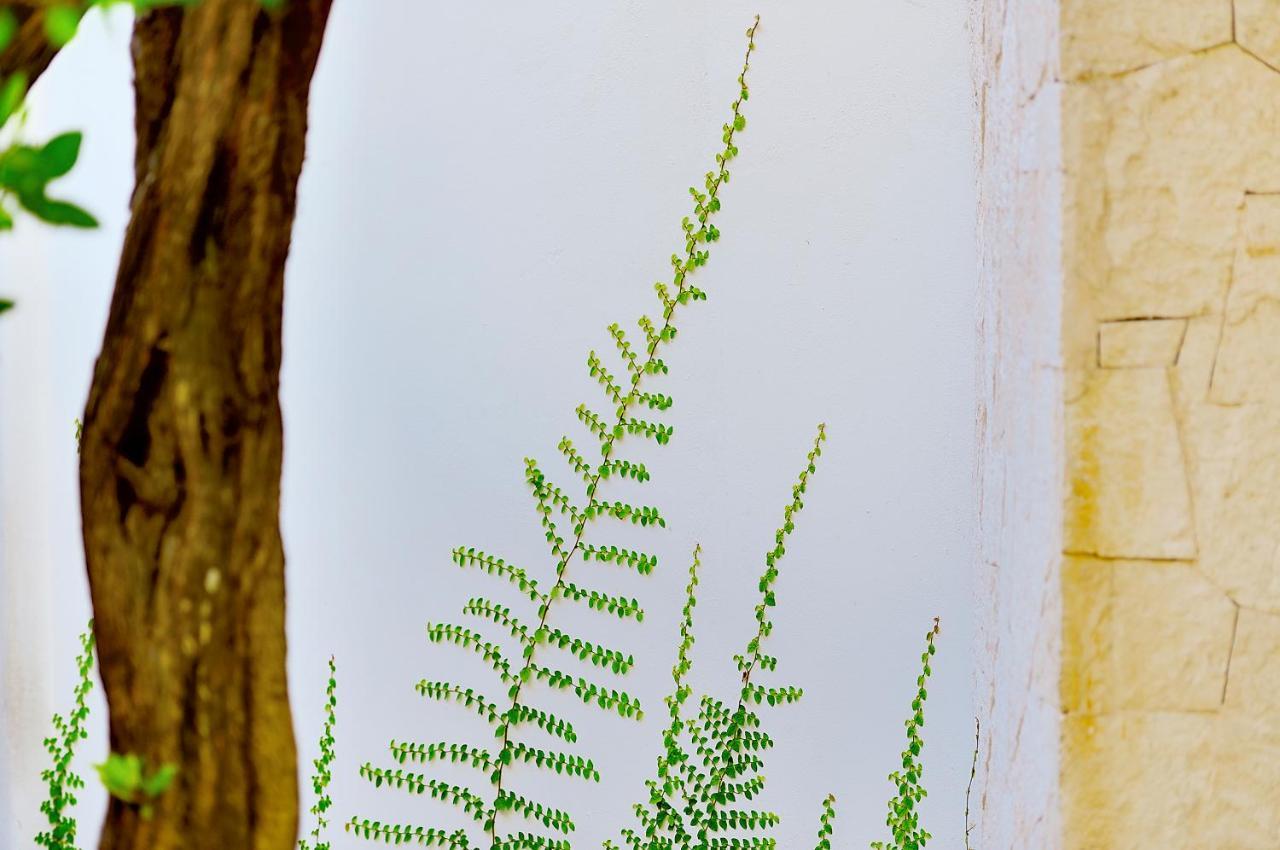 Tago Tulum By G Hotels エクステリア 写真
